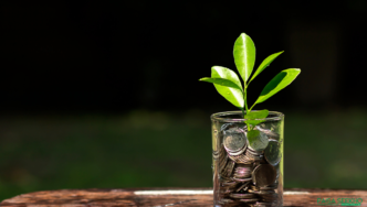 What are Unit Linked Insurance Plans (ULIPs)