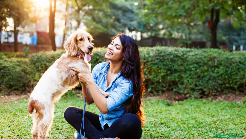 Here's pet insurance in India explained! Everything you need to know about taking care of your little fur babies and keeping them healthy!