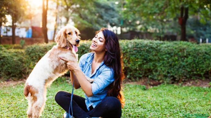 Have you heard about pet insurance in India and are you wondering whether you need it? Here's what you need to know!