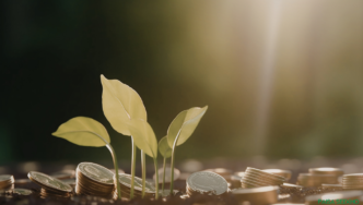 Discover the best Gold Mutual Funds in India for 2026. Compare gold funds, and learn how to start a digital gold SIP without a Demat account.