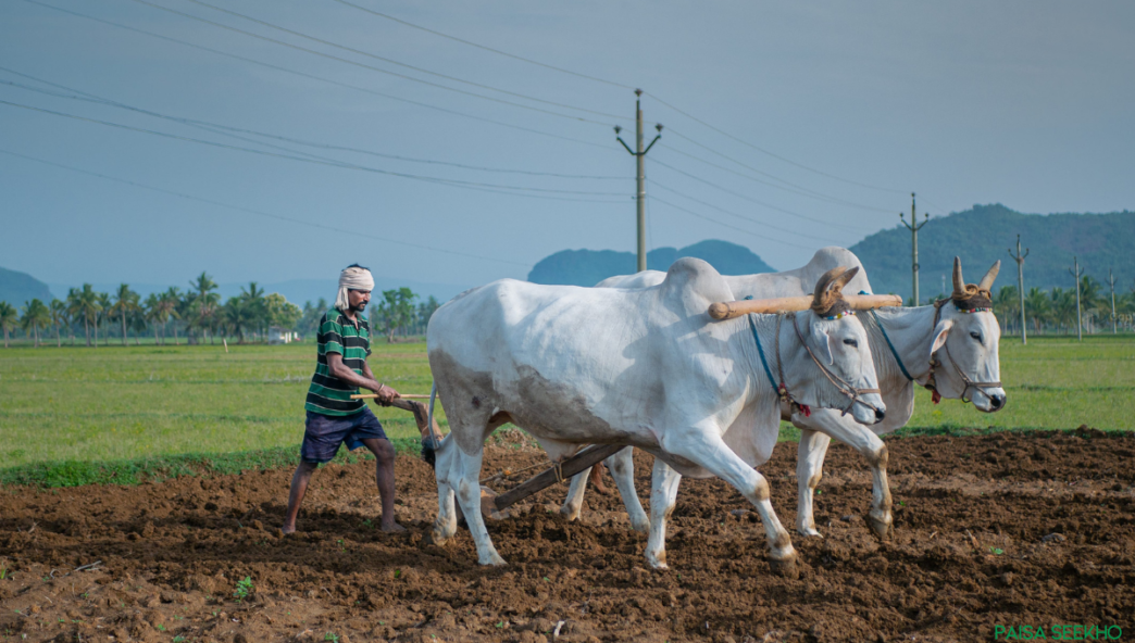 Selling agricultural land in your hometown? Here's how to check if it's rural or urban, and whether you owe capital gains tax on the sale.